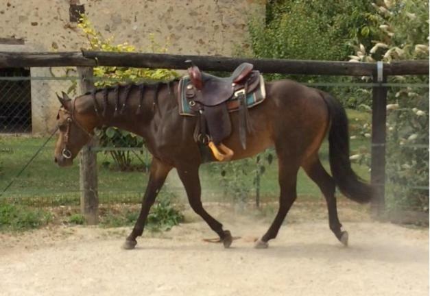 La Mini Ferme De Maelou Villa Sermaises Bagian luar foto